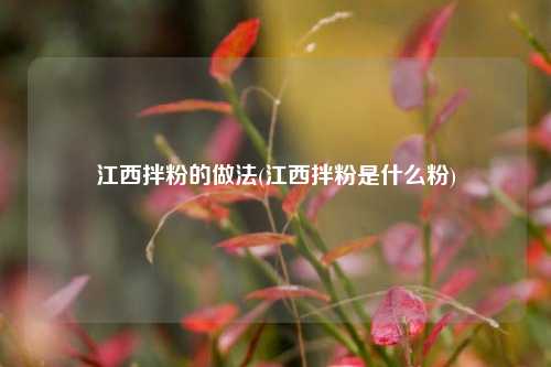 江西拌粉的做法(江西拌粉是什么粉)