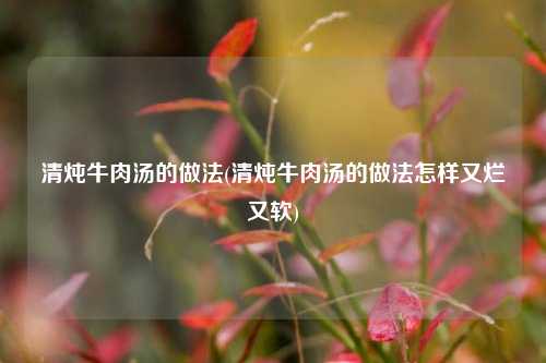 清炖牛肉汤的做法(清炖牛肉汤的做法怎样又烂又软)