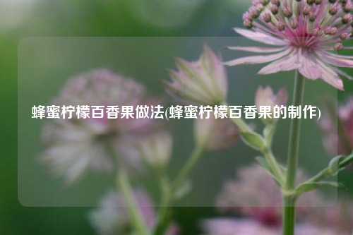 蜂蜜柠檬百香果做法(蜂蜜柠檬百香果的制作)