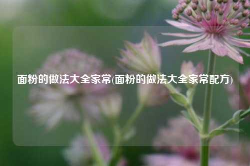 面粉的做法大全家常(面粉的做法大全家常配方)