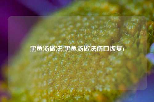 黑鱼汤做法(黑鱼汤做法伤口恢复)