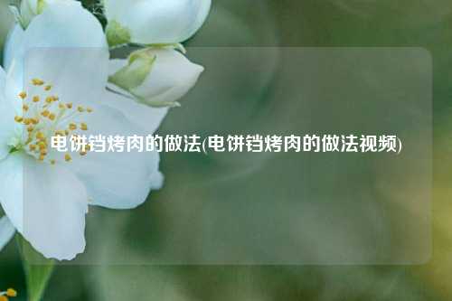 电饼铛烤肉的做法(电饼铛烤肉的做法视频)