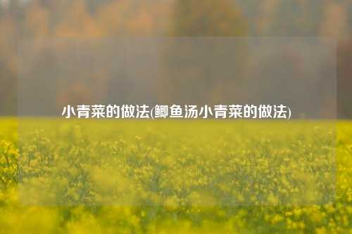小青菜的做法(鲫鱼汤小青菜的做法)