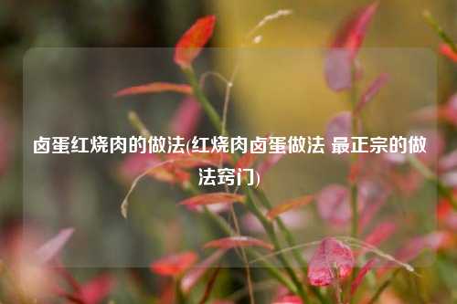 卤蛋红烧肉的做法(红烧肉卤蛋做法 最正宗的做法窍门)