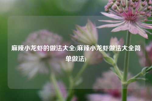 麻辣小龙虾的做法大全(麻辣小龙虾做法大全简单做法)