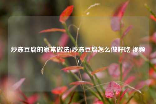 炒冻豆腐的家常做法(炒冻豆腐怎么做好吃 视频)