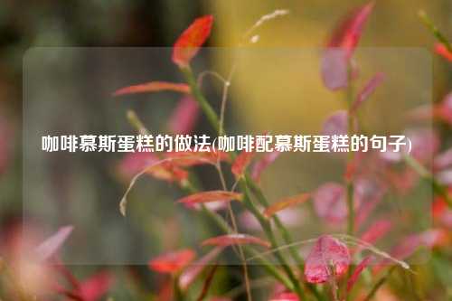 咖啡慕斯蛋糕的做法(咖啡配慕斯蛋糕的句子)