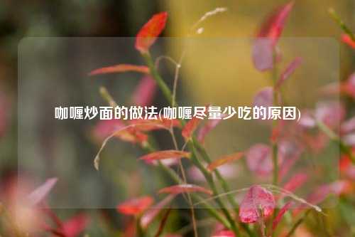 咖喱炒面的做法(咖喱尽量少吃的原因)