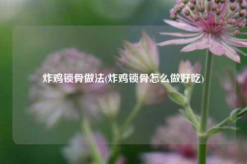 炸鸡锁骨做法(炸鸡锁骨怎么做好吃)