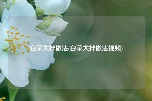 白菜大拌做法(白菜大拌做法视频)