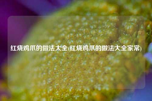 红烧鸡爪的做法大全(红烧鸡爪的做法大全家常)
